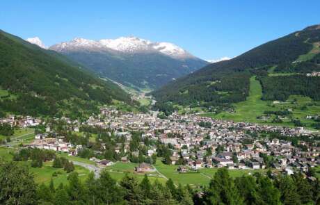 Our suggestions for your holidays in Bormio
